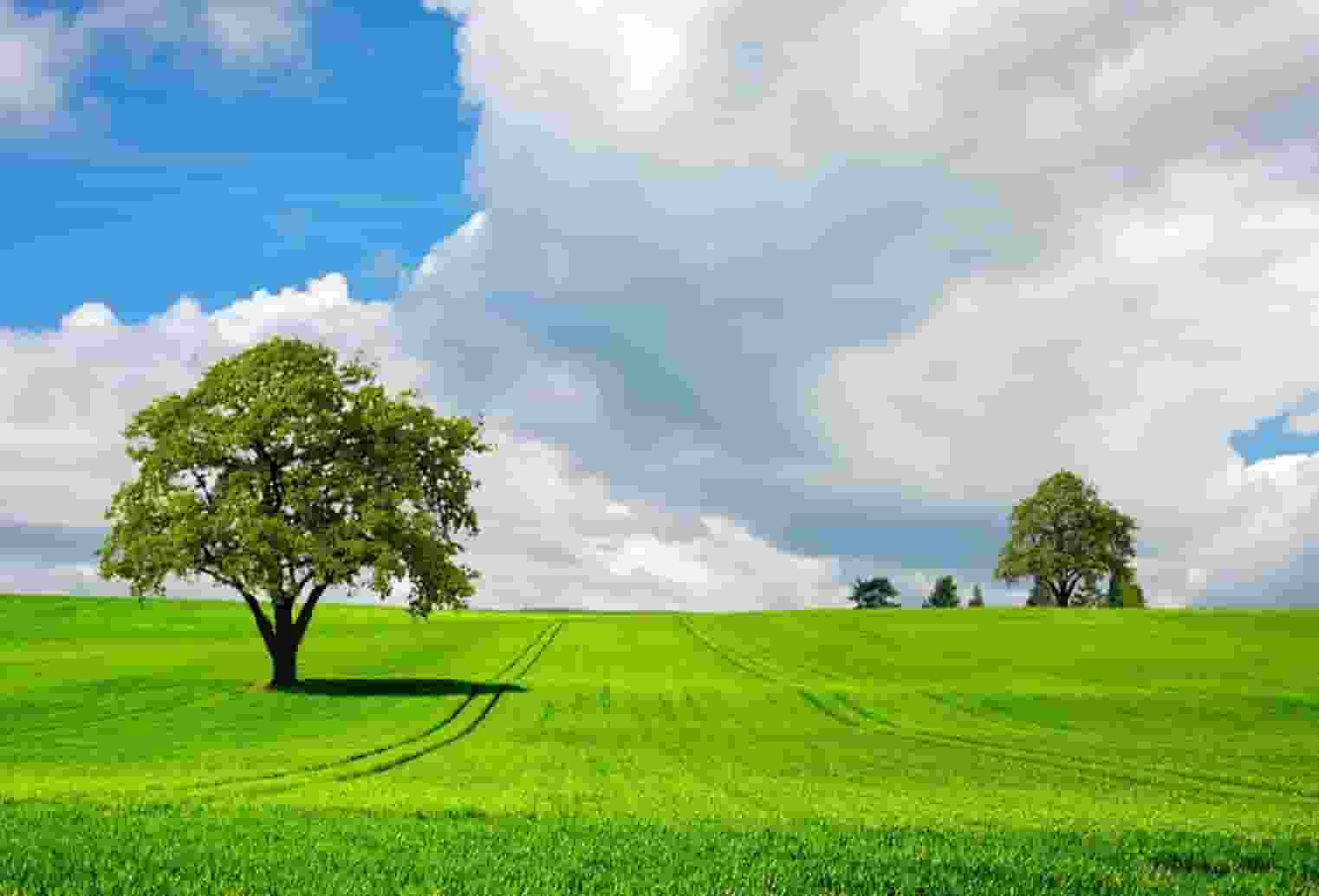 新冠疫情的防疫期间