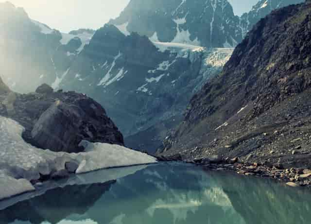 学校要求报考的专业