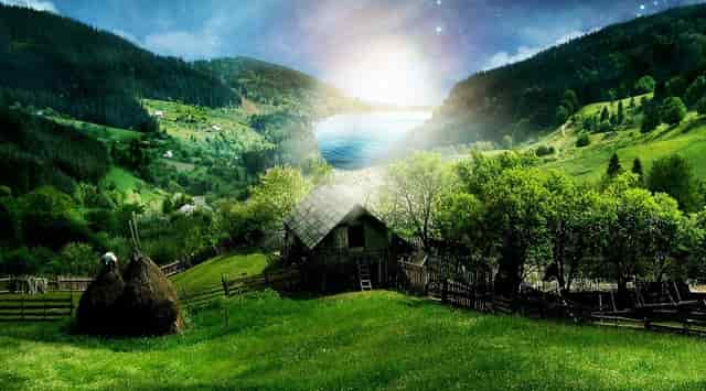 成人高考不考本市大学