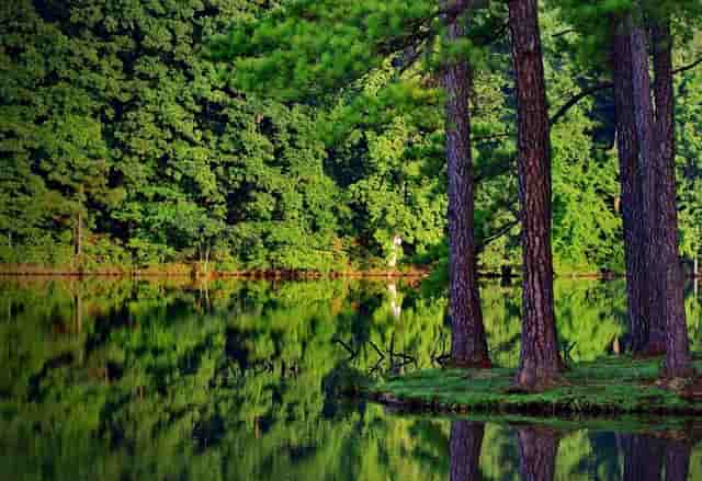 2021中国大学有多少排名