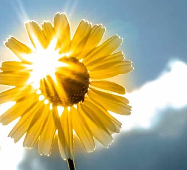 市值最大的公司是哪个