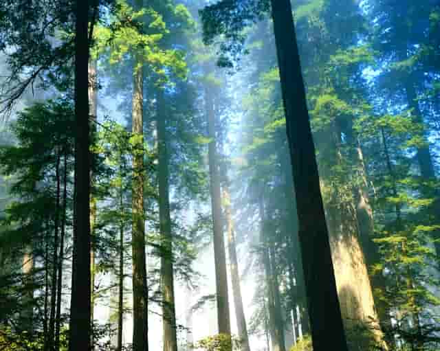 房产公司的成本和收入