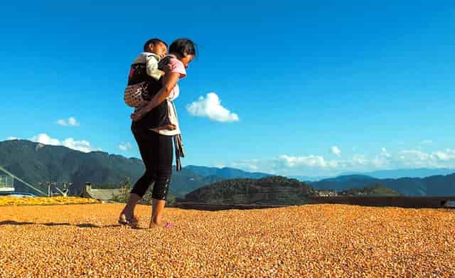 生物疫苗细胞免疫