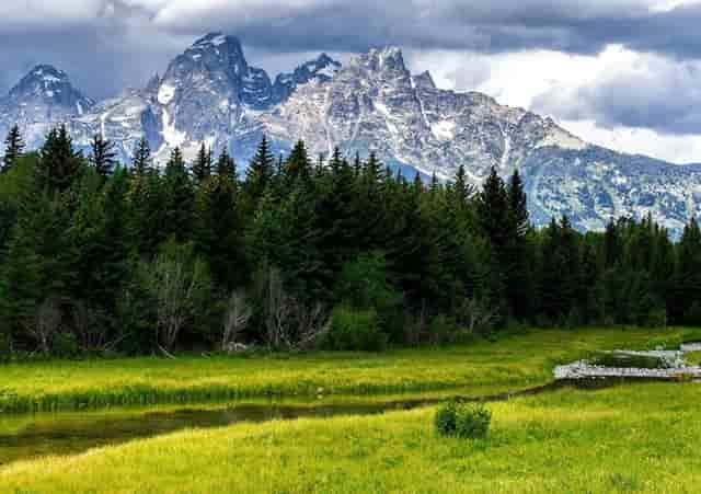 志愿填报填完本科还可以填专科吗