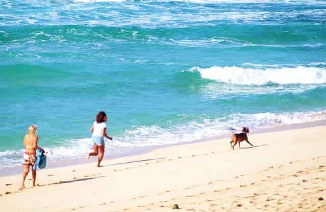 老楼加装电梯后的房子